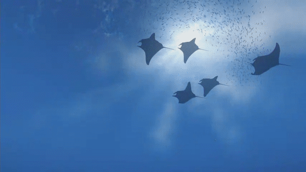 珠海VR加盟哪家好